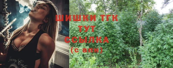 ГАЛЛЮЦИНОГЕННЫЕ ГРИБЫ Арсеньев