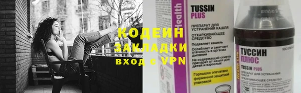 ГАЛЛЮЦИНОГЕННЫЕ ГРИБЫ Арсеньев