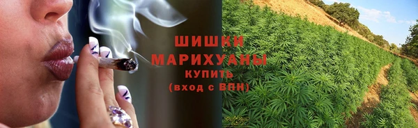 a pvp Аркадак